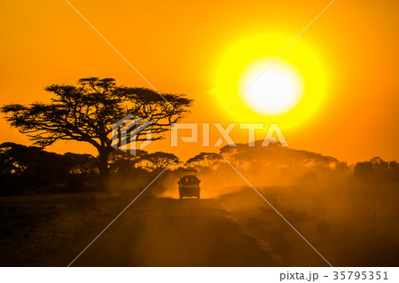 safari jeep driving through savannah in the sunset 35795351
