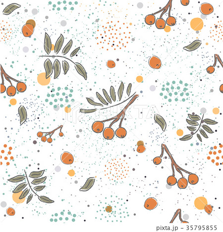 Cute winter sybju with rowan berries 35795855  pixta