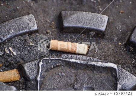 Cigarette butts in the tree pot ,Cigarette waste Cigarette butts in the tree pot ,Cigarette waste 35797422