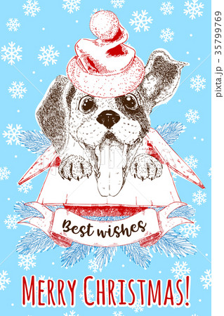 Christmas and New Year design card with happy dog 35799769