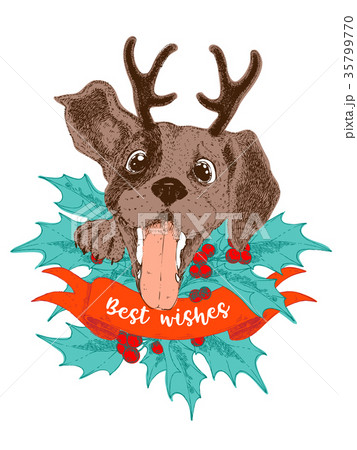 Merry Christmas greeting card. Happy beagle puppy 35799770
