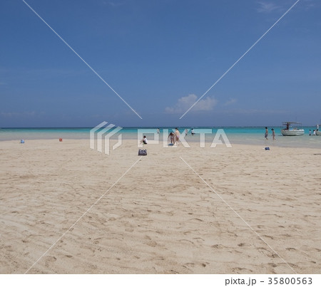 百合ヶ浜 百合ヶ浜 35800563