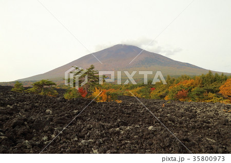 秋の岩手山と焼走り 35800973