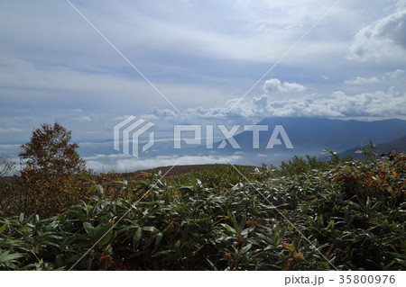 秋の八幡平から望む岩手山 秋の八幡平から望む岩手山 35800976