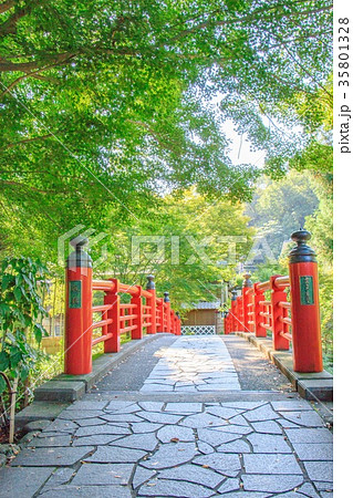 修善寺 楓橋 修善寺 楓橋 35801328