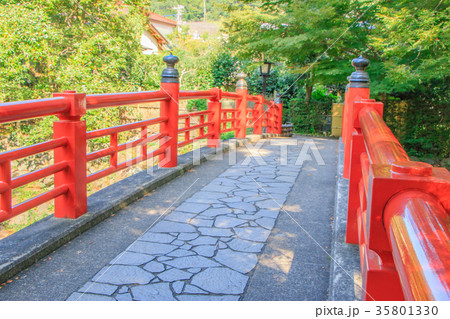 修善寺　楓橋 35801330