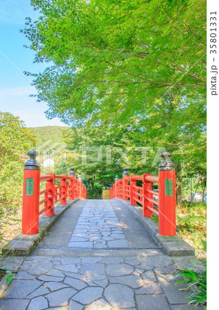修善寺 楓橋 修善寺 楓橋 35801331