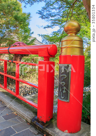 修善寺　桂橋　 35801334