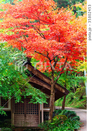 紅葉と建屋 35802453