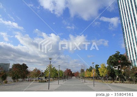 東京 お台場 都市風景 35804561
