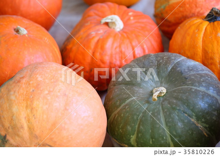 かぼちゃゴロゴロ 35810226