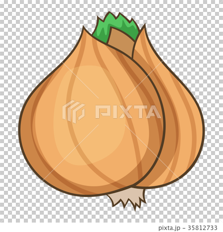 Whole bulb brown onion icon, cartoon style Whole bulb brown onion icon, cartoon style 35812733