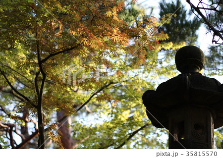 清亀園の紅葉 清亀園の紅葉 35815570