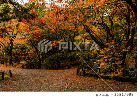錦秋の那谷寺 錦秋の那谷寺 35817998