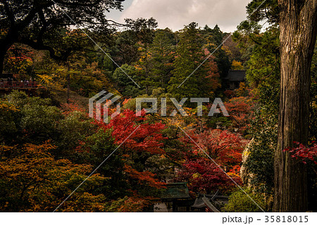 錦秋の那谷寺 錦秋の那谷寺 35818015