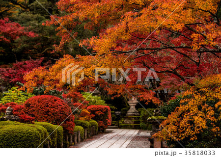 錦秋の那谷寺 錦秋の那谷寺 35818033