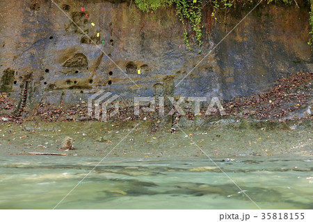 養老川とチバニアン 35818155