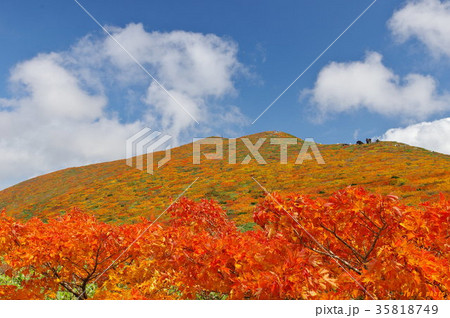 錦秋：栗駒山 35818749