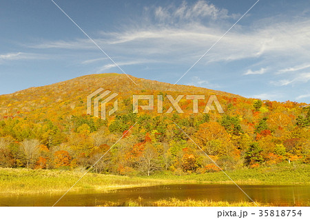 彩る泉ヶ岳 35818754