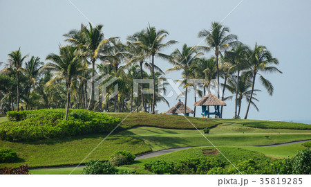 Golf club with green hill and many palm trees 35819285