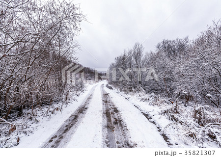 A country road covered with snow A country road covered with snow 35821307