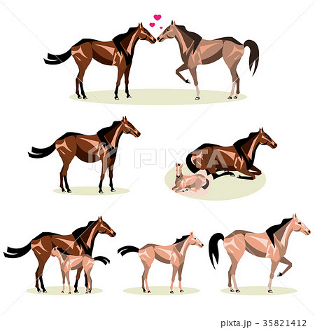 Stages including birth mother and foal colt Stages including birth mother and foal colt 35821412