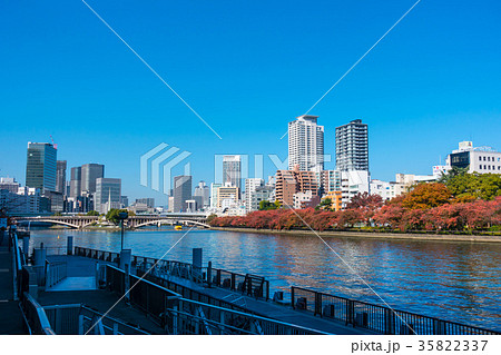 超高層ビルと大川の紅葉 超高層ビルと大川の紅葉 35822337