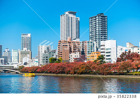 超高層ビルと大川の紅葉 35822338