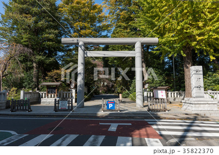 阿佐ヶ谷神明宮大鳥居 阿佐ヶ谷神明宮大鳥居 35822370