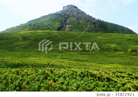 羅臼平から羅臼岳を望む 35822921