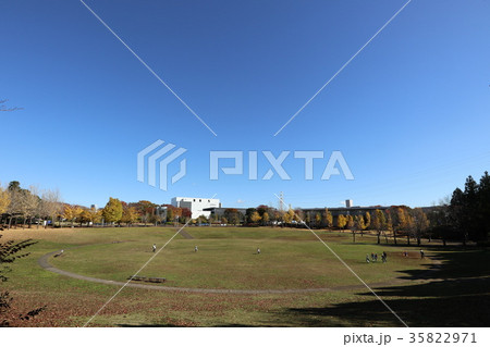 科学万博記念公園 黄葉 科学万博記念公園 黄葉 35822971