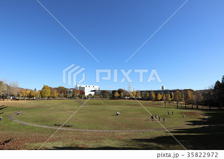 科学万博記念公園 黄葉 科学万博記念公園 黄葉 35822972