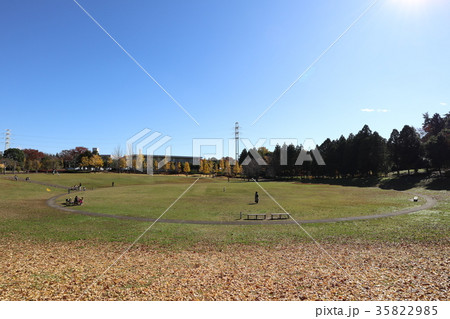 科学万博記念公園　黄葉 35822985