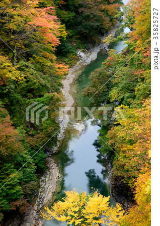 紅葉の小安峡 秋田県 紅葉の小安峡 秋田県 35825727