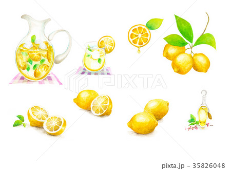 レモン 水彩 のイラスト素材