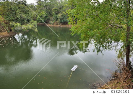 予定表 行程 アジア人 35826101