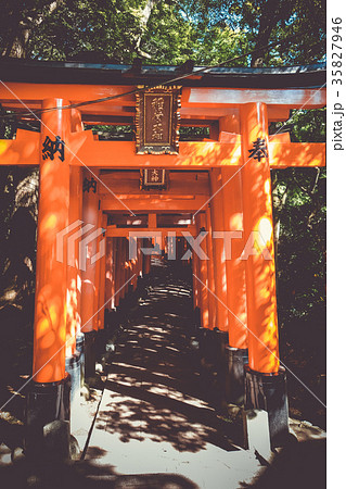 Fushimi Inari Taisha torii, Kyoto, Japan Fushimi Inari Taisha torii, Kyoto, Japan 35827946