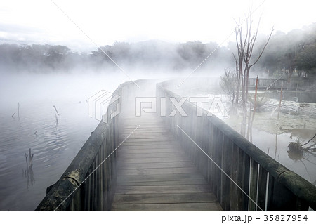 Bridge on a misty lake in Rotorua, New Zealand 35827954