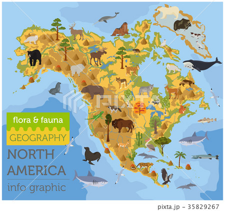 North America flora and fauna map, flat elements 35829267