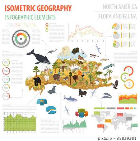 Isometric 3d North America flora and fauna map  35829281