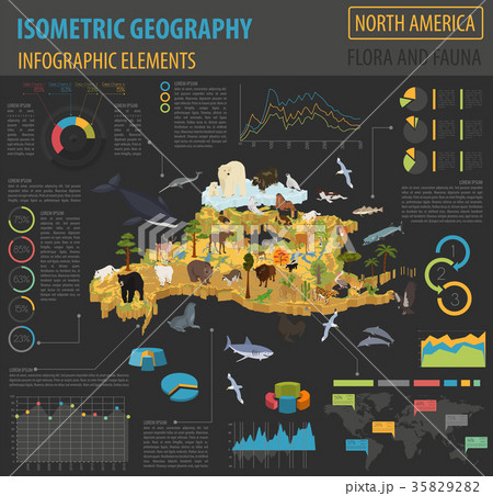 Isometric 3d North America flora and fauna map 35829282