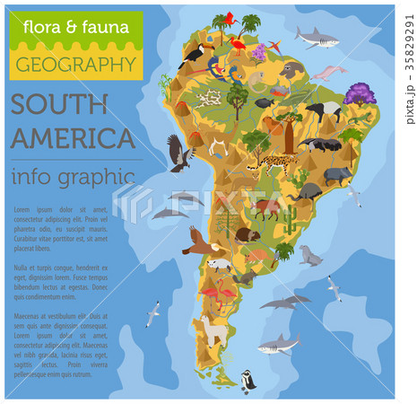 South America flora and fauna map, flat elements South America flora and fauna map, flat elements 35829291