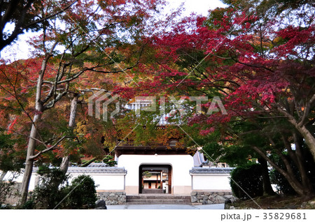 宇治　興聖寺 35829681