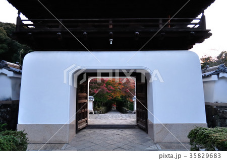 宇治　興聖寺 35829683