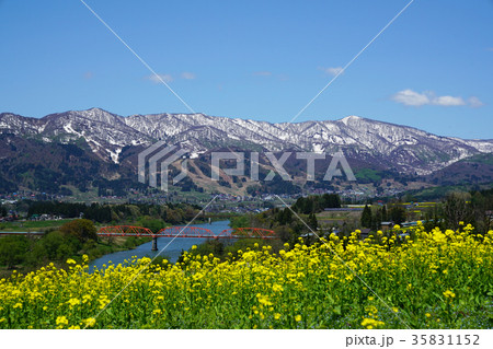 菜の花公園より千曲川を望む 35831152