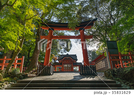 宇佐神宮 西大門 宇佐神宮 西大門 35831629