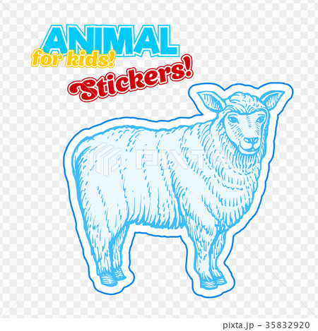 Farm animal sheep in sketch style on colorful 35832920