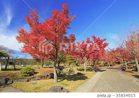 恵日寺資料館　紅葉　磐梯町 35834015