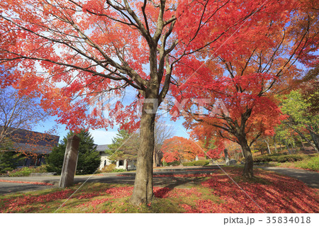 恵日寺資料館　紅葉　磐梯町 35834018