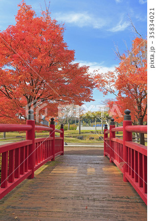 恵日寺資料館　紅葉　磐梯町 35834021